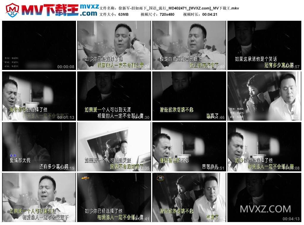 徐新军-泪如雨下_国语_流行_MD402471